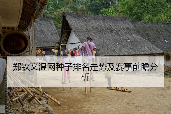 郑钦文温网种子排名走势及赛事前瞻分析
